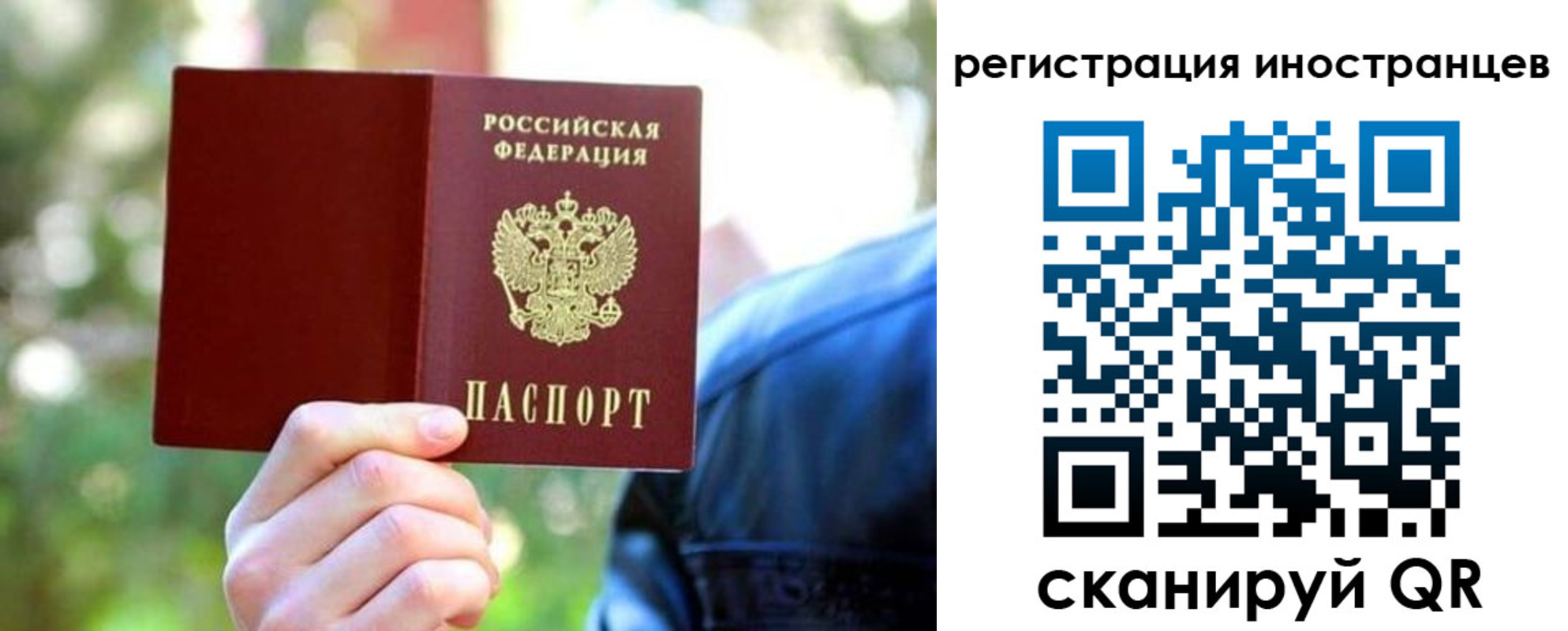 временная регистрация поиск в Волхове